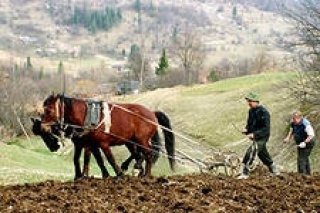 Что ждет российское село?