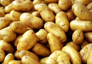 Увеличение цен на картофель в марте стало рекордным в России