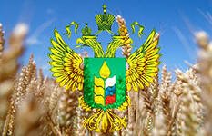 О результатах деятельности отдела надзора за качеством и безопасностью зерна