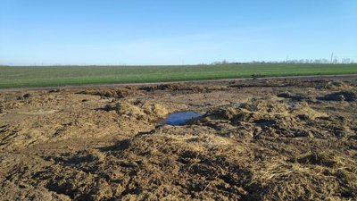 Экологи выявили санитарно неблагополучные фермы в Курской области