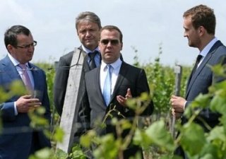 Прорыв в виноградарстве планирует Ставрополье
