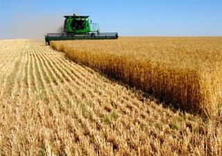 После ввода продовольственных санкций российскому АПК понадобится 100 млрд рублей