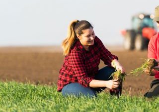 Краснодарские аграрии получили от РСХБ 14,5 млрд рублей с начала 2020 года