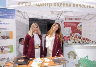 «День донского поля-2020»: три дня в эпицентре аграрной жизни юга России