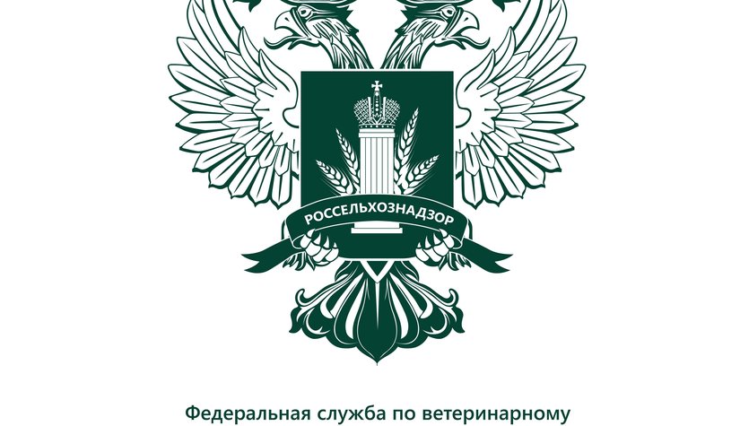 О работе в сфере контроля лекарств на территории Омской области