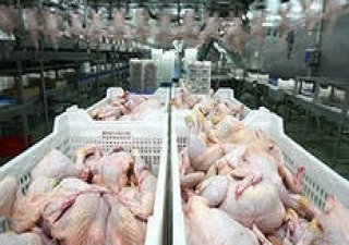 "Мироновский хлебопродукт" планирует начать экспорт курятины в ЕС