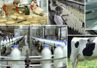 В Московской области создадут молочно-продуктовый кластер