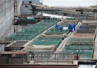 Под поселком Степной построят астраханский рыбопромышленный комплекс