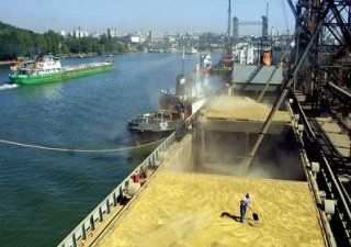 Российская пшеница – поставки в Турцию приостановлены