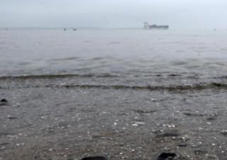 Сельское хозяйство Германии медленно «убивает» Балтийское море