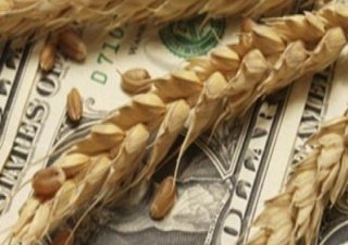 Посевная обойдется в 300 миллиардов рублей