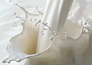 Стоимостной объем ввоза молочных продуктов в июне вырос на 8,2 %