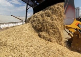 Минсельхоз Казахстана займется оздоровлением аграрных предприятий