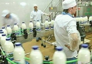 Анатолий Лосев: заместить импорт молочной отрасли мешают дорогое сырье и устаревшее оборудование