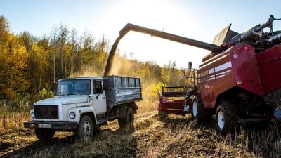 Компания «Коноплекс» закончила сбор урожая 2019 года