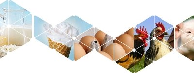 Выставка «Молочная и Мясная индустрия» впервые представит полный цикл агропромышленного производства