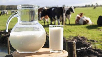 С 29 февраля по 2 марта на Международном форуме-выставке в Москве будет проходить конференция “Молочная индустрия мира и Российской федерации”.