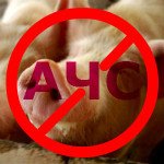 О промежуточных результатах деятельности референтной лаборатории по АЧС