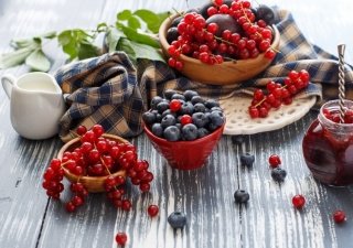 Белорусская ягода – надежное вложение инвестиций!