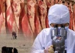 Хакасия фигурирует в черном списке Минсельхоза