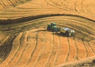 Система «no-till» сулит аграриям оздоровление почвы
