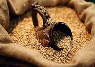 Казахстан перепродает российскую пшеницу