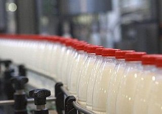 Архангельский молокозавод может спасти инвестор