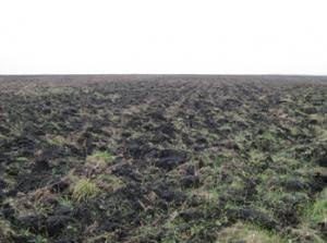 Нарушения земельного законодательства устранены в установленный срок