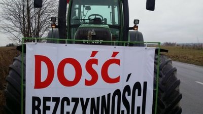 Польша: в регионах не хватает денег на борьбу с АЧС