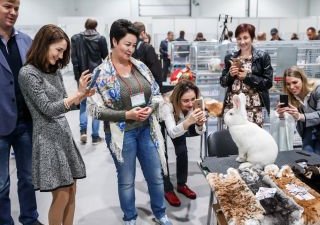 Южно-Российский региональный конкурс кроликов и породной птицы состоится 23-24 октября