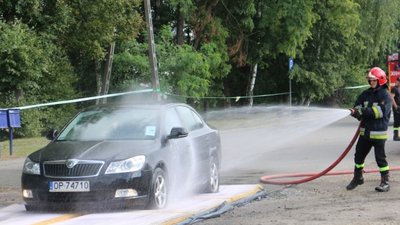 Ветеринары Польши готовятся к расширению зоны АЧС