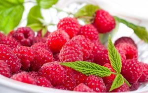 Продажа готового Агробизнеса рентабельность 80-100%