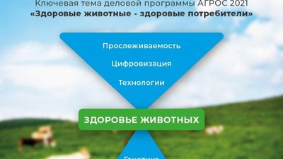 АГРОС-2021: Курс на инновации и высокий уровень безопасности продукции животноводства