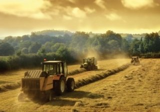 Ростовская область и Адыгея закончили уборочную кампанию