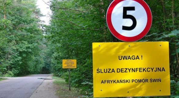 В связи с АЧС польская таможня усилила проверки на границах