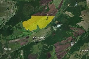 Продам землю с/х назначения 354,4га в Емельяновском районе (д.Раскаты-д.Ясная Поляна) Красноярского края