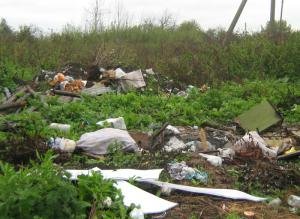 Защитим земли сельскохозяйственного назначения от захламления бытовыми отходами