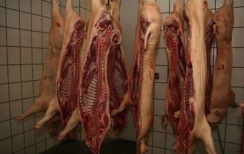 Свинина из зон АЧС Польши не может отправляться на экспорт