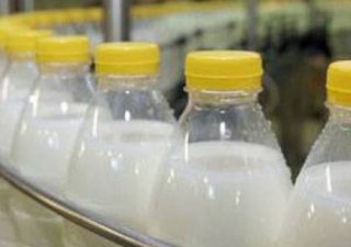 Молоко в России становится роскошью