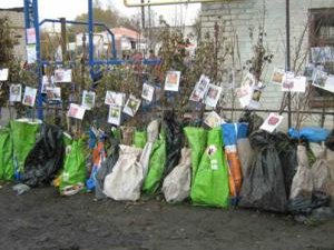На рынке города Ардатов пресечена продажа саженцев, не прошедших фитосанитарный контроль
