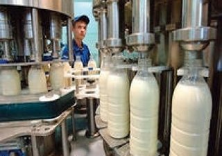 Красноярский молокозавод выставлен на продажу
