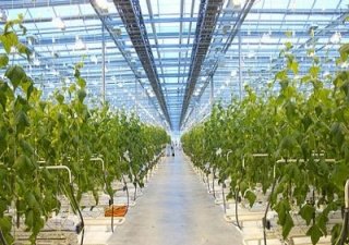 Хабаровский АПК поднимут инвестиционные проекты