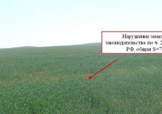 Правонарушения устранить