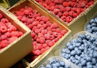 Аналитика: Ягодный бизнес 2020 года: объем переработки увеличится на 18%, дефицит свежих ягод сохранится