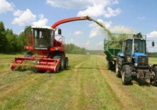 Хозяйства Алтайского края приступают к кормозаготовительным работам