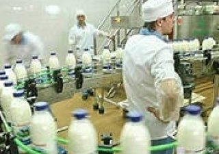 Нужен ли белок переработчикам молока?