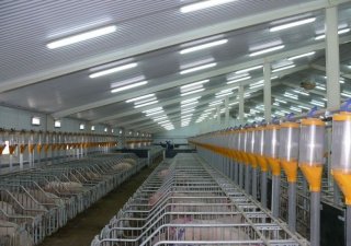 В Серове построят крупнейший агрокомплекс региона