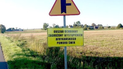 Правительство Польши обвинили в сокрытии правды о последствиях эпидемии АЧС