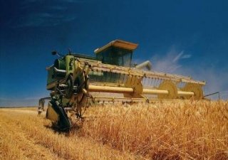 В Минсельхозе обсудили проблемы развития агропромышленного комплекса Дагестана
