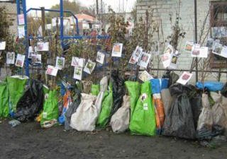 На рынке города Ардатов пресечена продажа саженцев, не прошедших фитосанитарный контроль